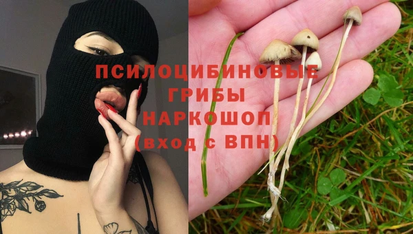 герыч Переславль-Залесский