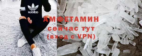 гидра Алексеевка