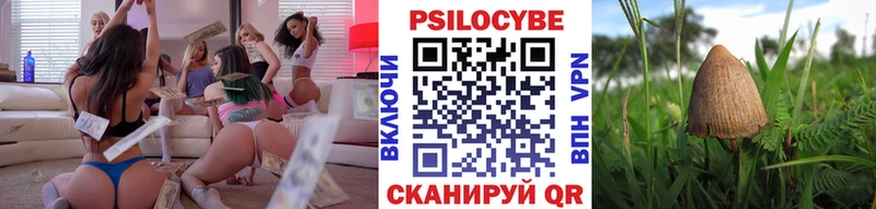 наркотики  Калач  hydra tor  Псилоцибиновые грибы Psilocybe 